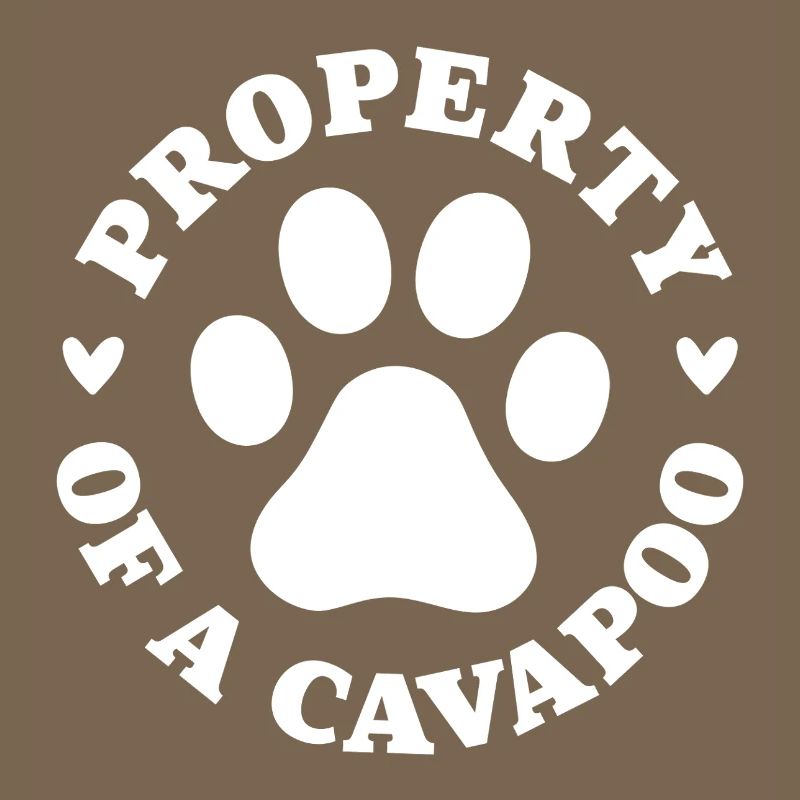 Property of a Cavapoo