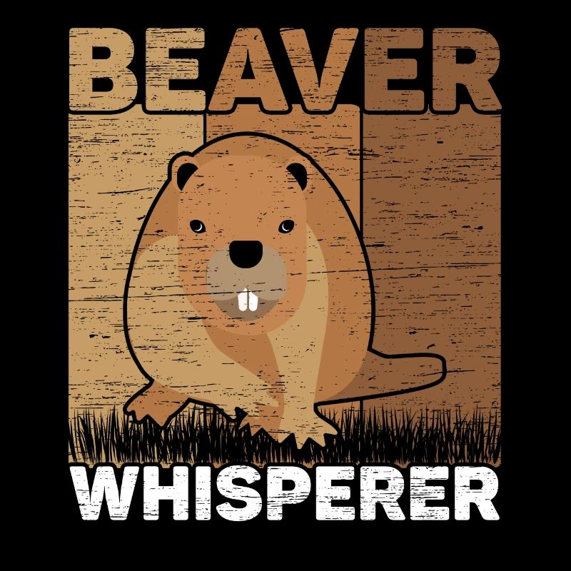 Castor Whisperer Faune Animal Canada Barrage Rongeur