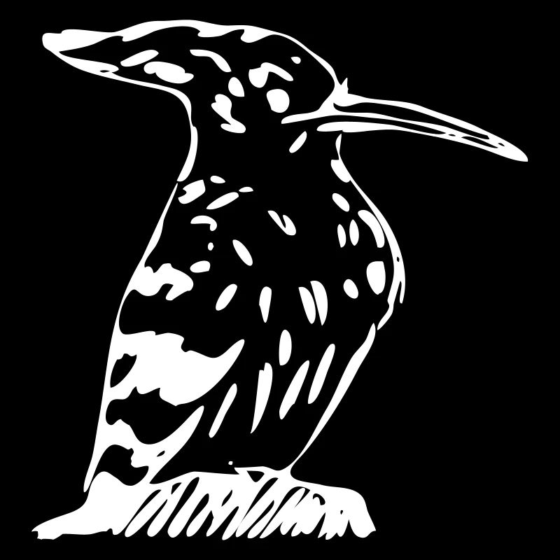 Oiseau Hoopoe-like