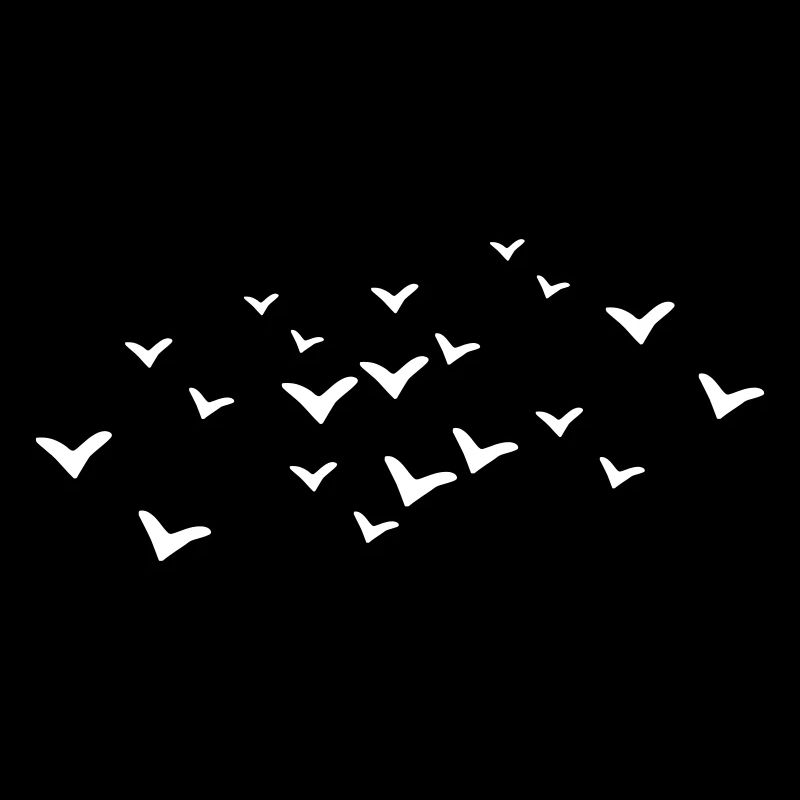 Oiseaux