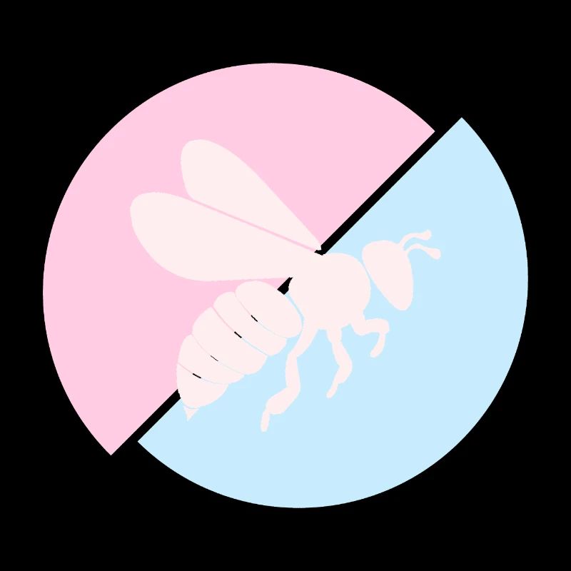 Bee Contrast Red Pastel Blue