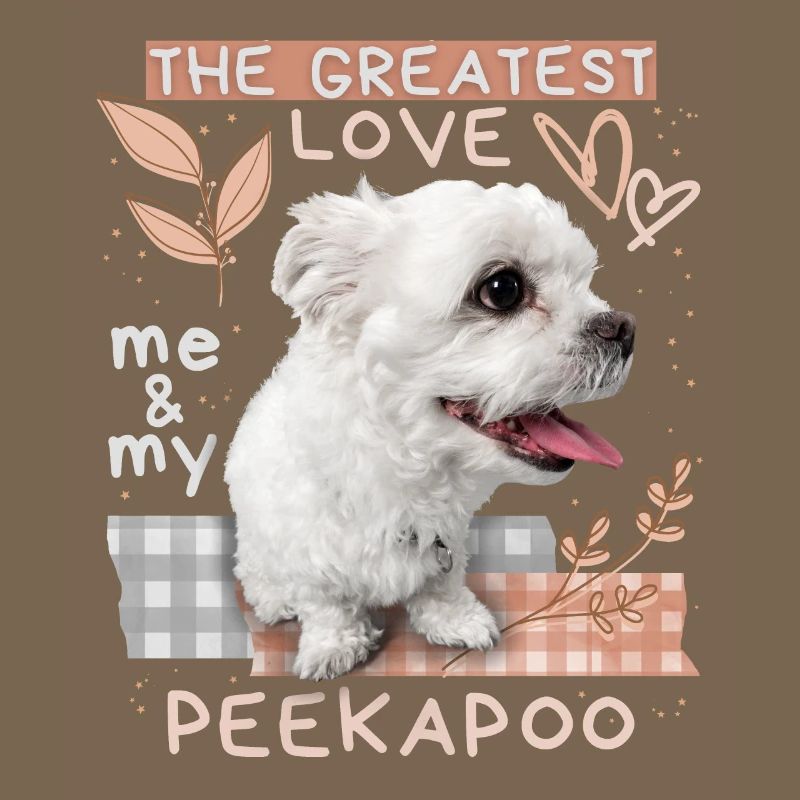 Peekapoo, dog, funny saying