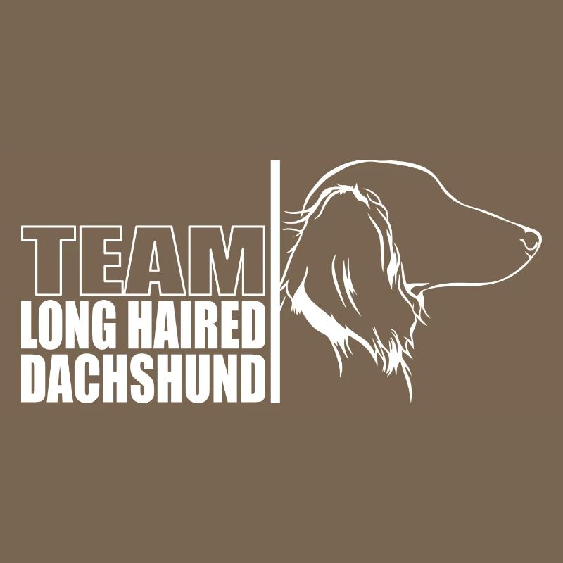 TEAM Teckel à poil long Chiens Teckel Wilsigns