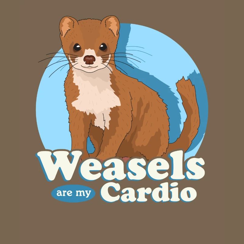 Weasel Mouse Weasel Dwarf Weasel Gift