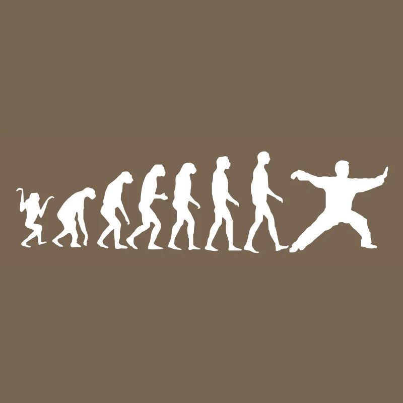 Taijiquan Chen Style Evolution