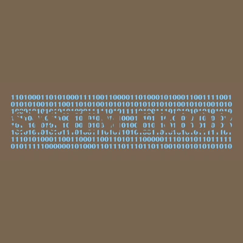 System error