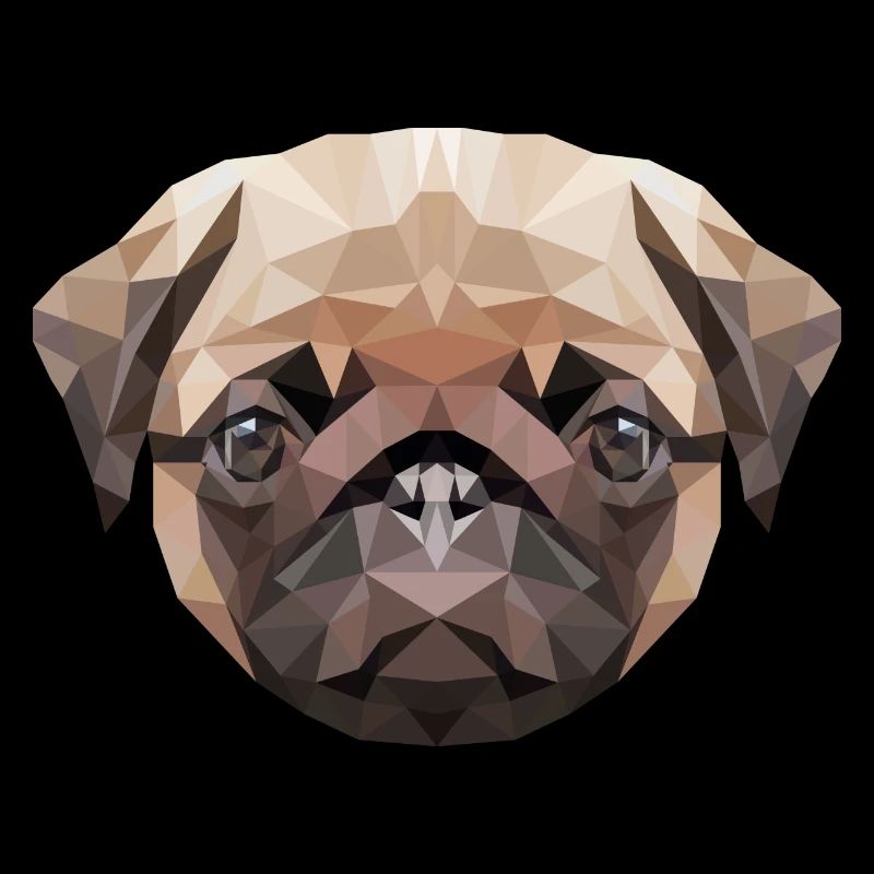 cute pug pug