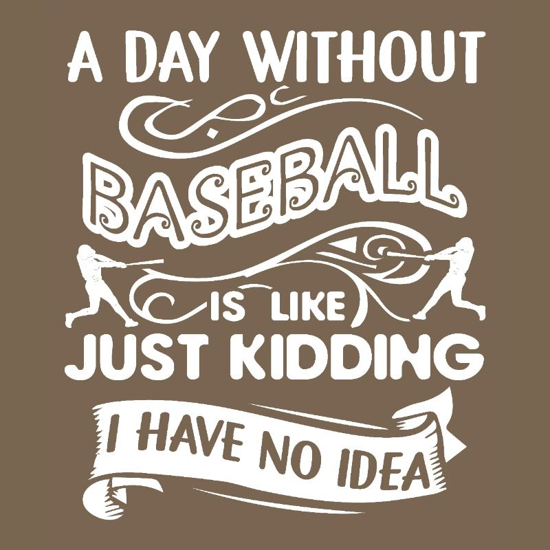 Baseball A Day Without Baseball