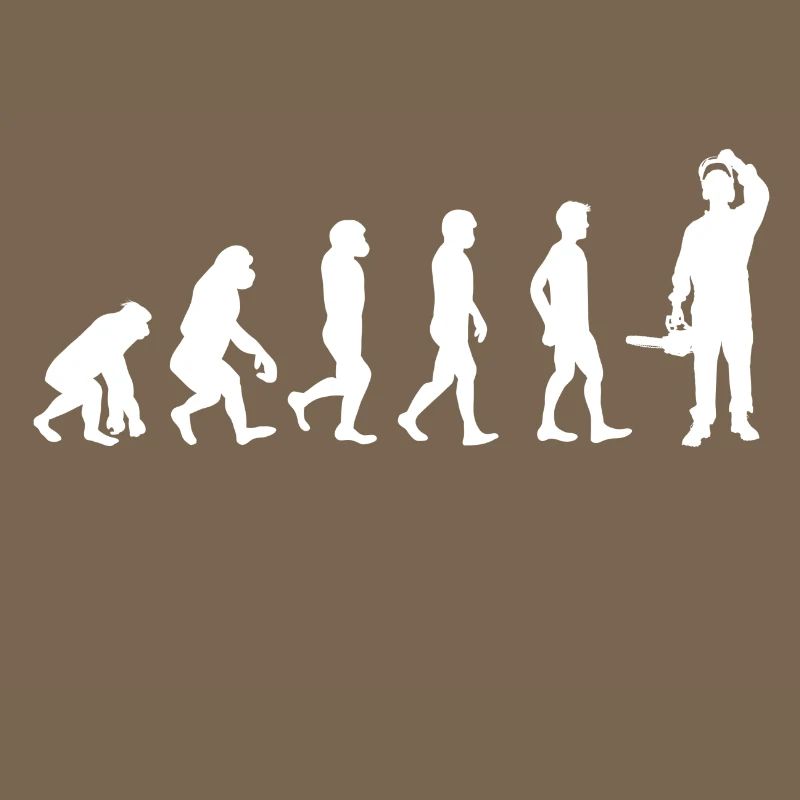 Evolution du bois / BOIS /