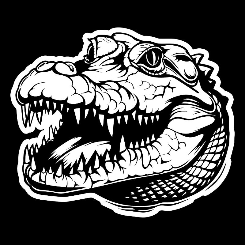 Crocodile Alligator
