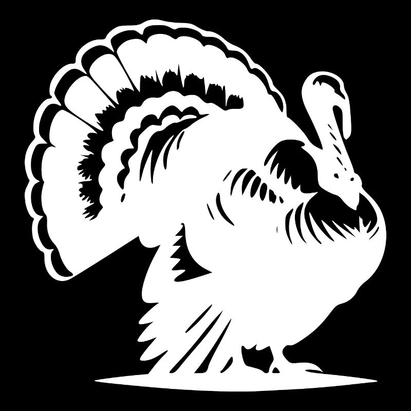 Dinde grasse au plumage de plumes