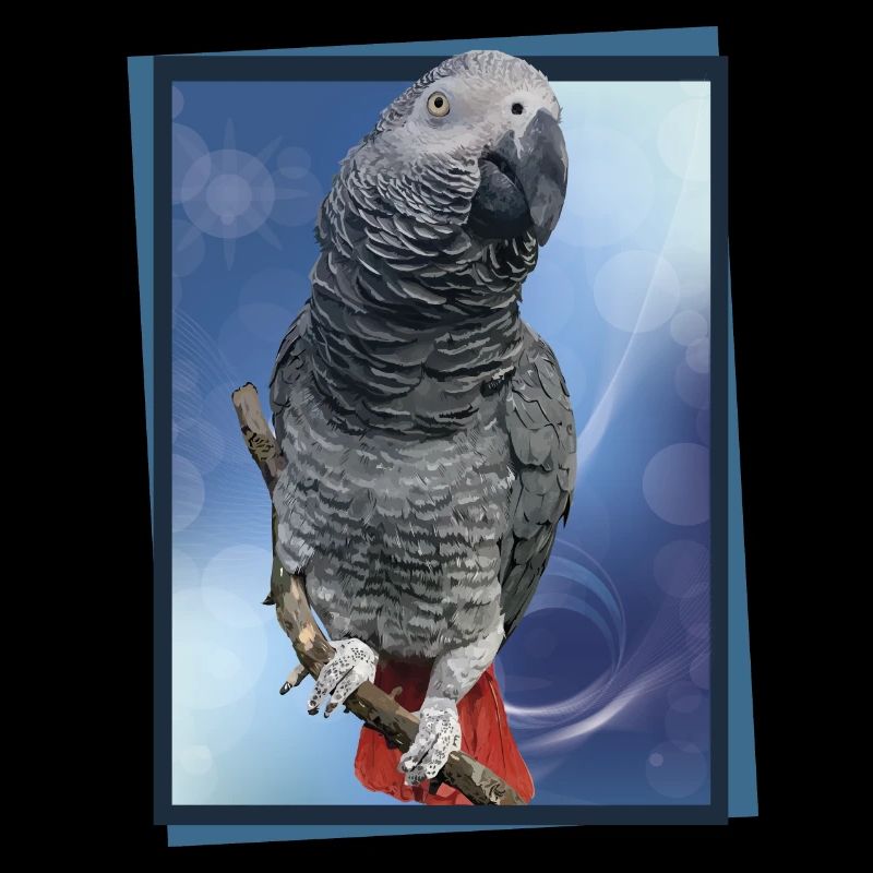 The grey parrot