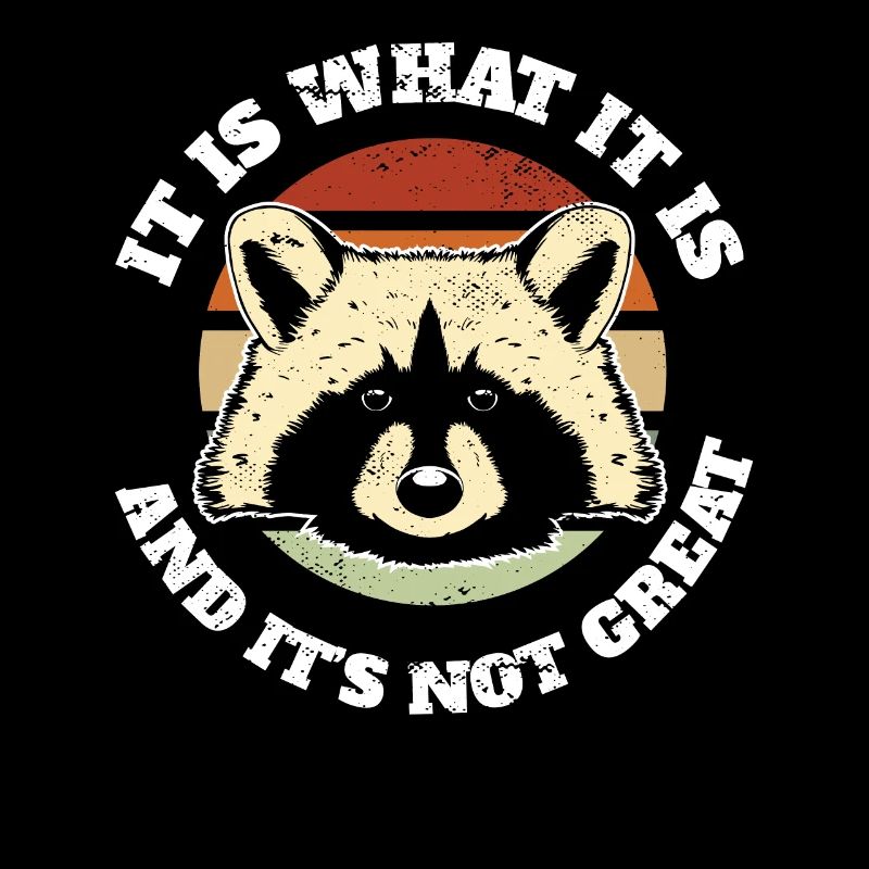 It Is What It Is And It’s Not Great