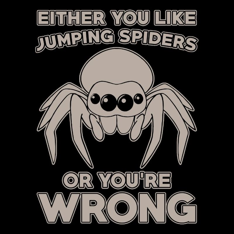 Dicton Jumping Spider
