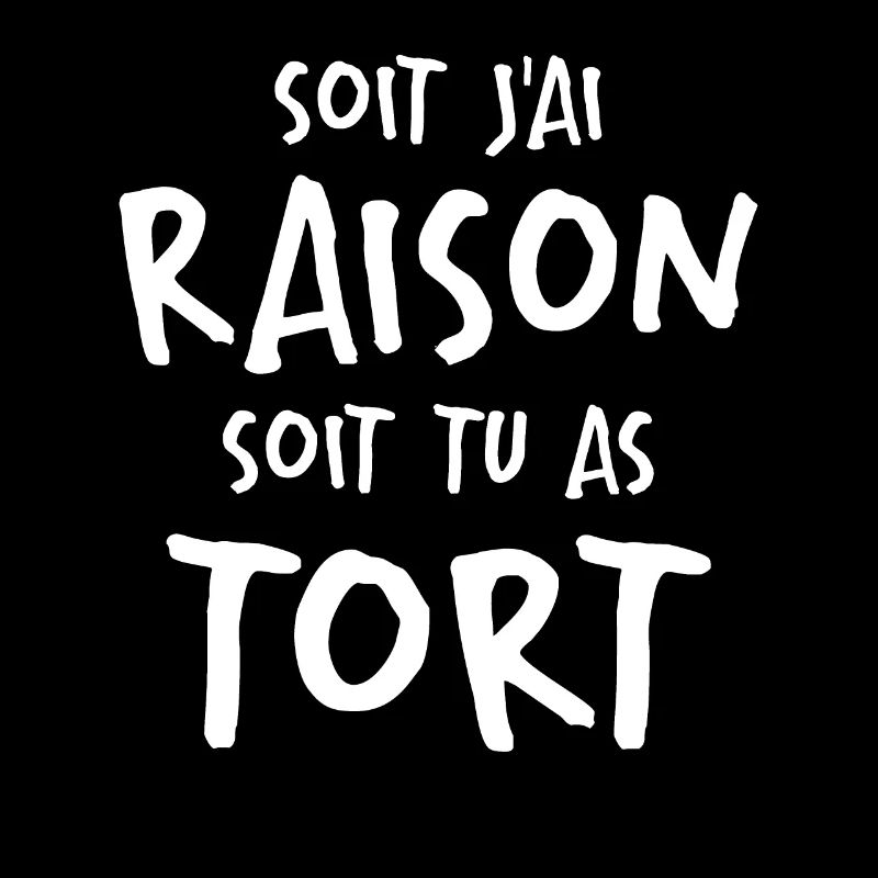 Soit J'ai Raison Soit Tu As Tort