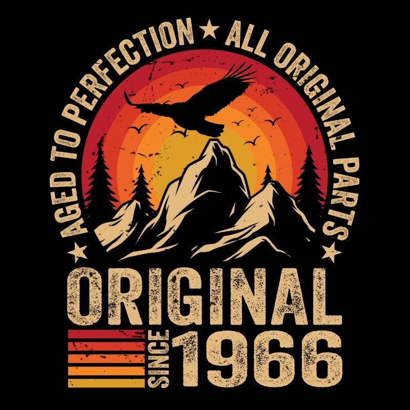 Original 1966 Vintage 1966 Anniversary 1966 Retro