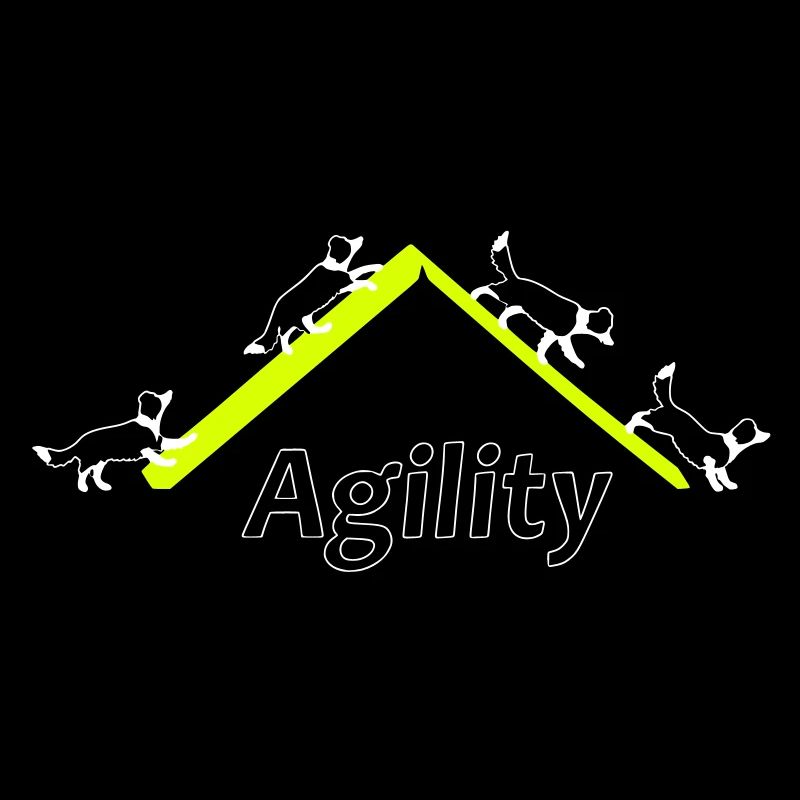 Agility 4x Border Collie