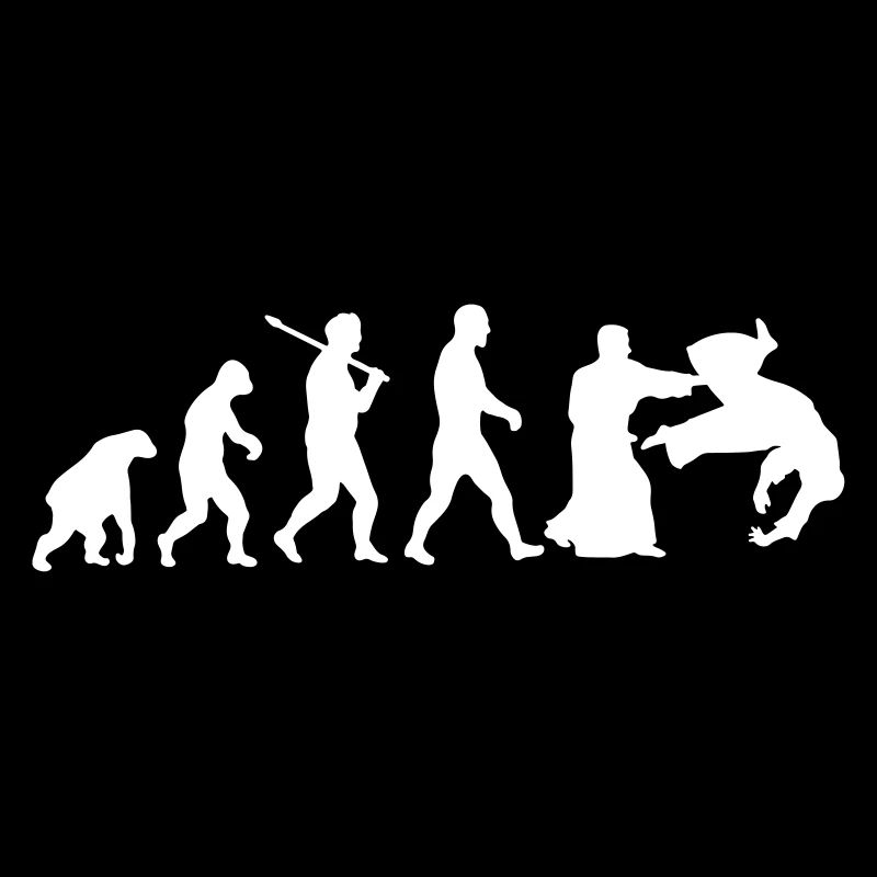 Evolution: Aïkido