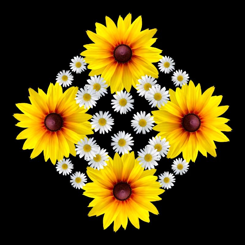 Fleur d’échinacée avec fleur de marguerite