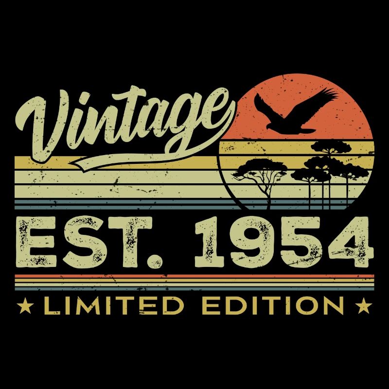 Vintage 1954 Awesome Since 1954 Gift 1954 Retro