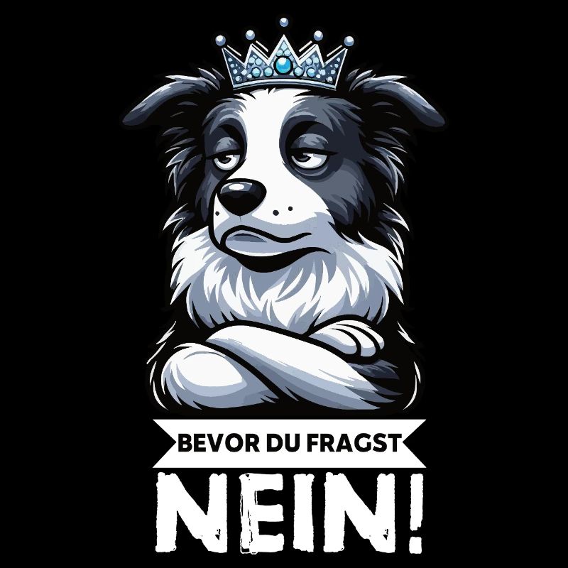 Before you ask: Border Collie, Herding Dog, Collie Dog