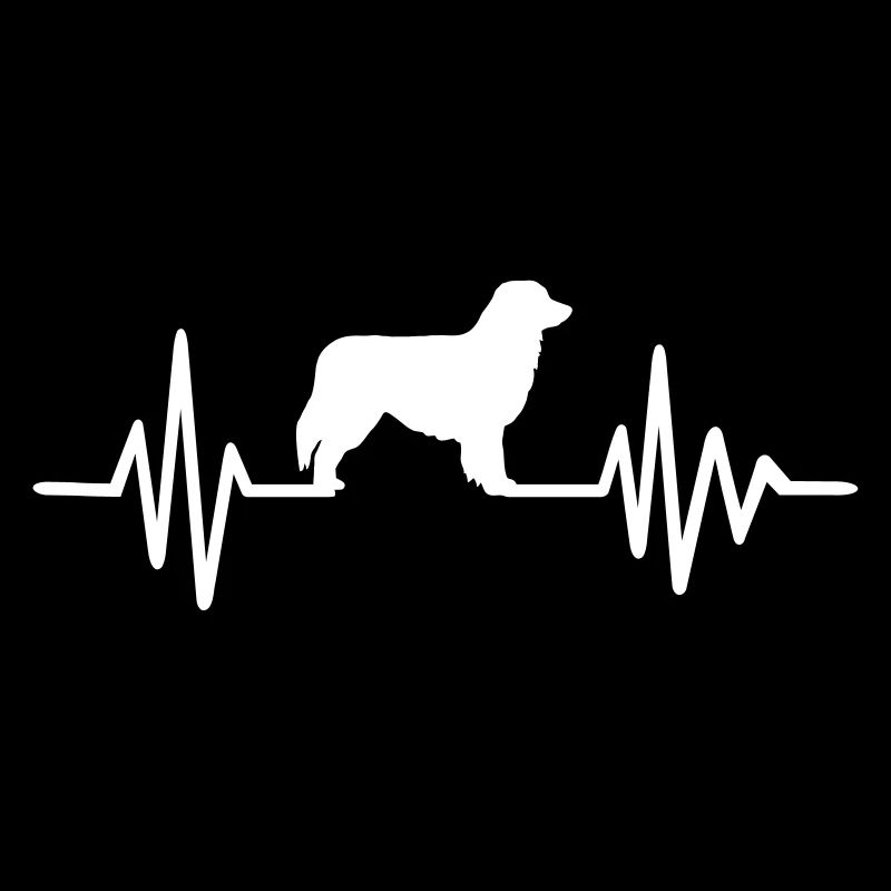 Australian Shepherd