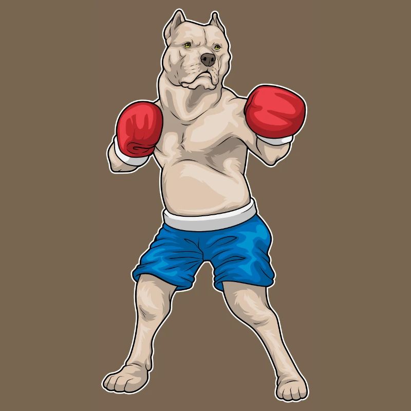 Pitbull Boxer Gants de boxe Boxe