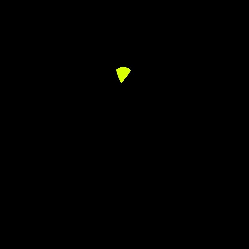 Moniteur de ski