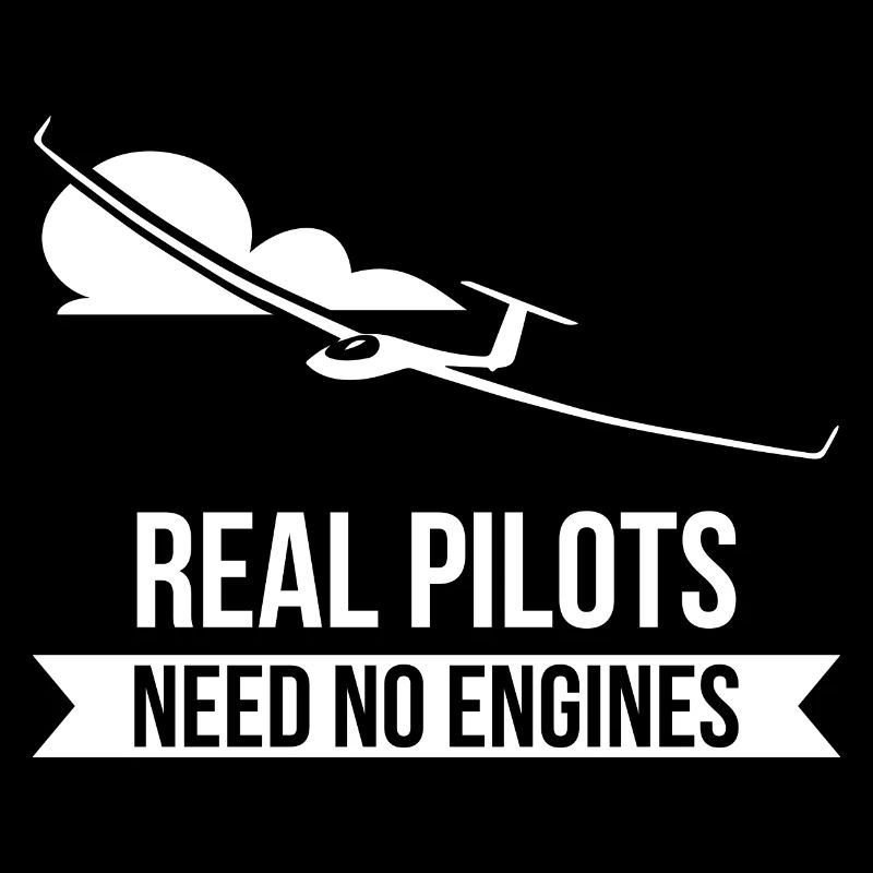 Real Pilots Need No Engines Gliding Flies