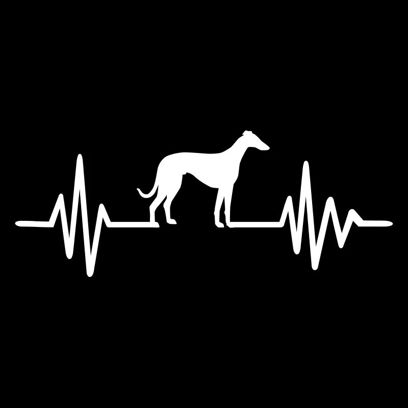 Whippet