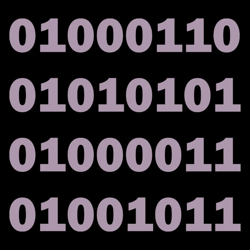 Code binaire Fuck