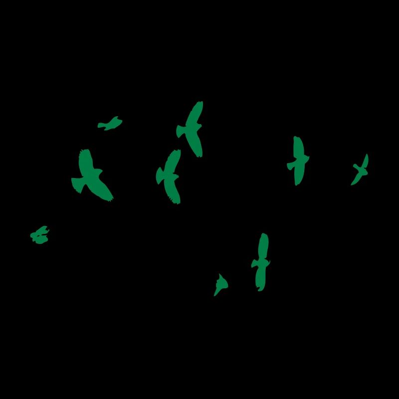 Oiseaux dans le ciel