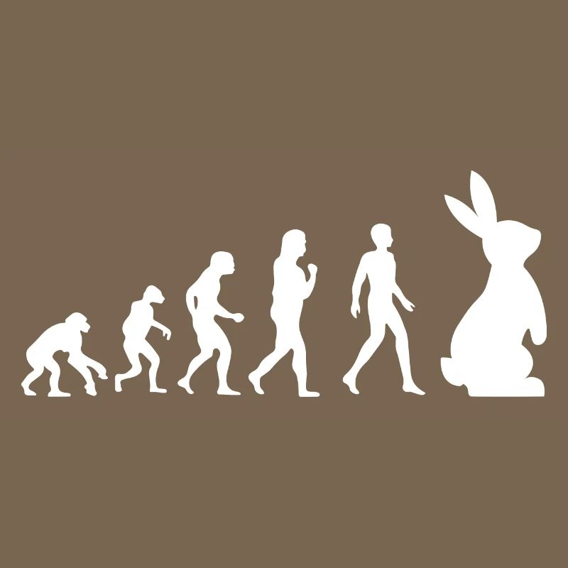 Évolution Lapin de Pâques Cadeau Lapin Drôle