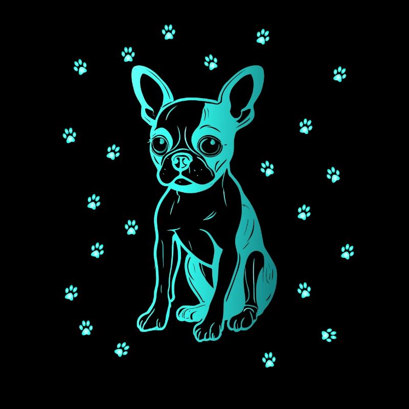 Boston Terrier avec de petites pattes