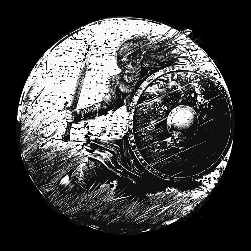 Bataille des Vikings de Wikinger - Viking Odin Valhalla