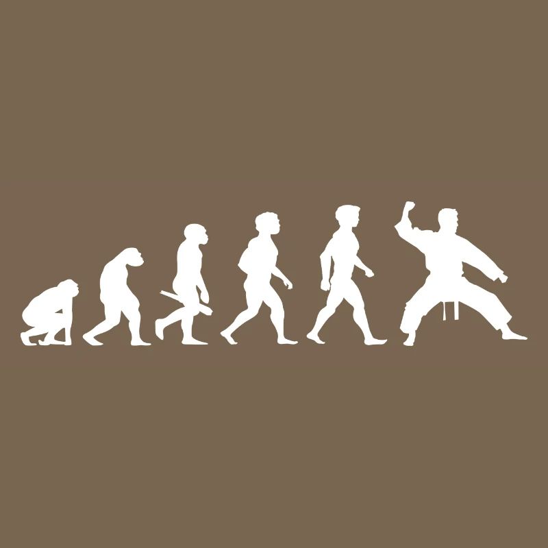 Evolution Karaté Arts Martiaux