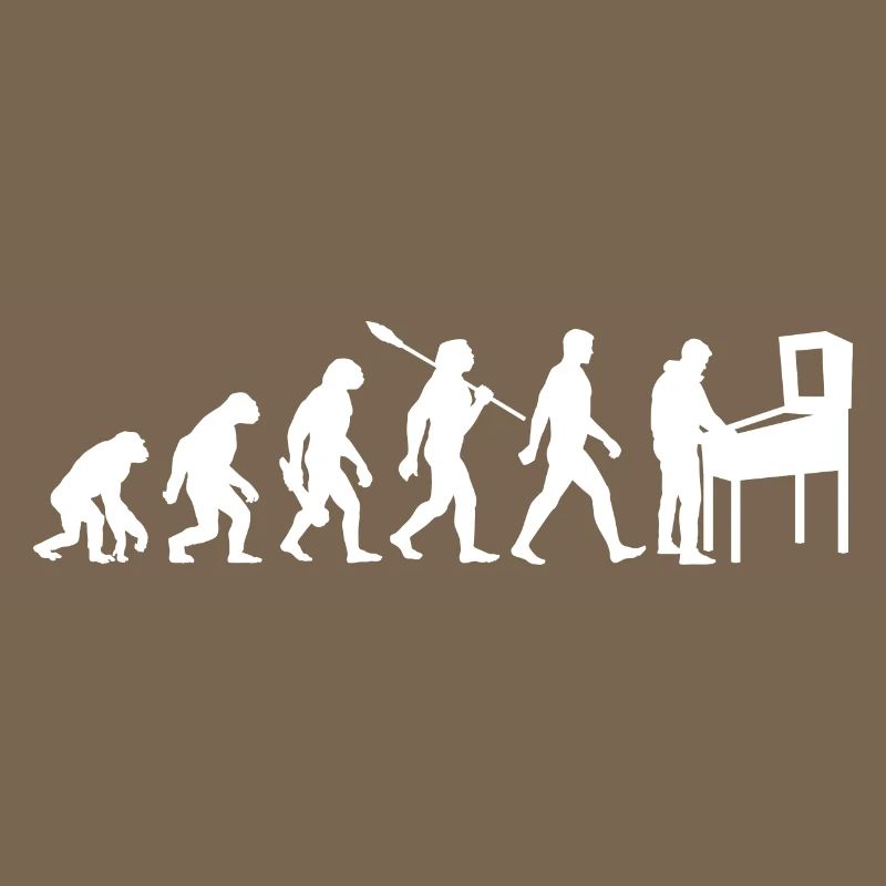 Evolution - Flipper - Flipper - Automatique