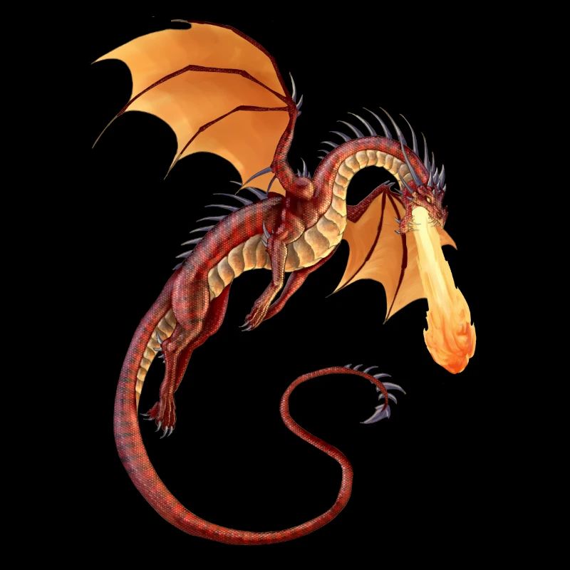 Dragon de Feu