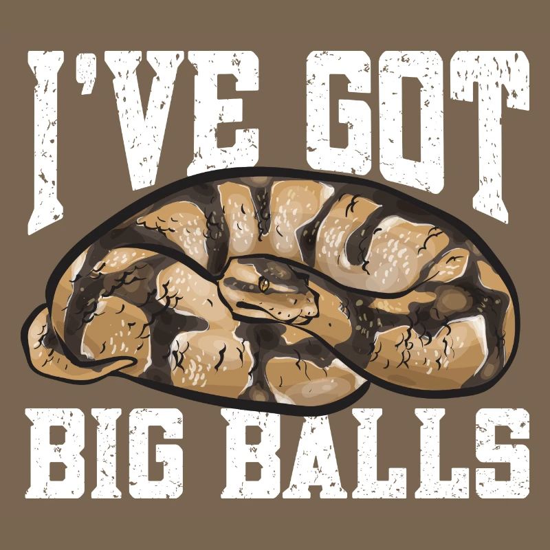 Ball Python Snake King Python