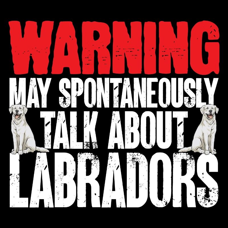 Labrador Retriever blanc Labrador Labrador blanc
