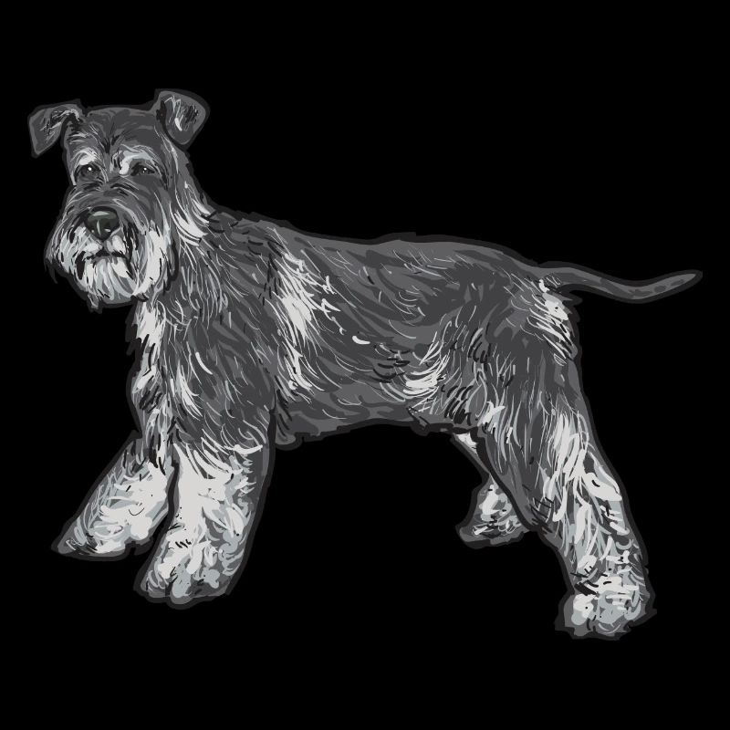 Schnauzer nain Chien Schnauzer