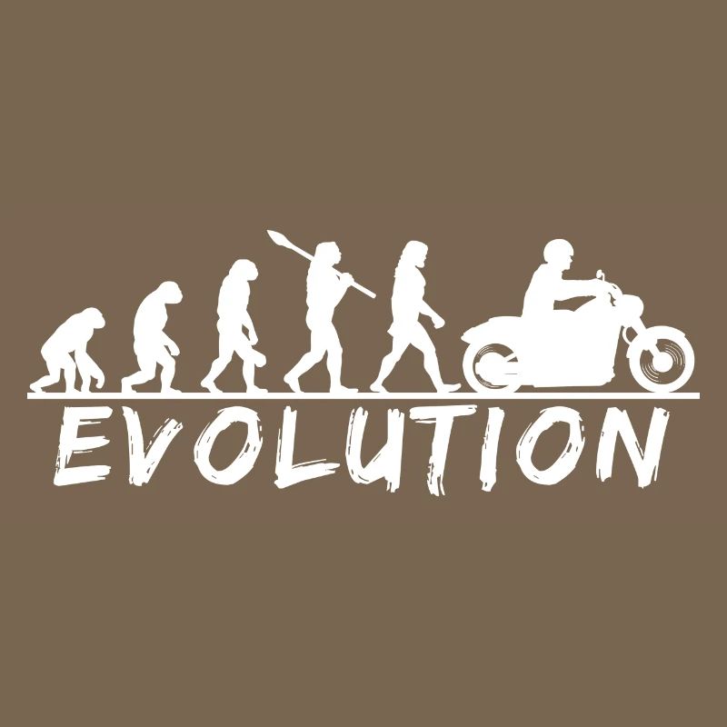 Évolution de l’équitation Découvrez votre parcours