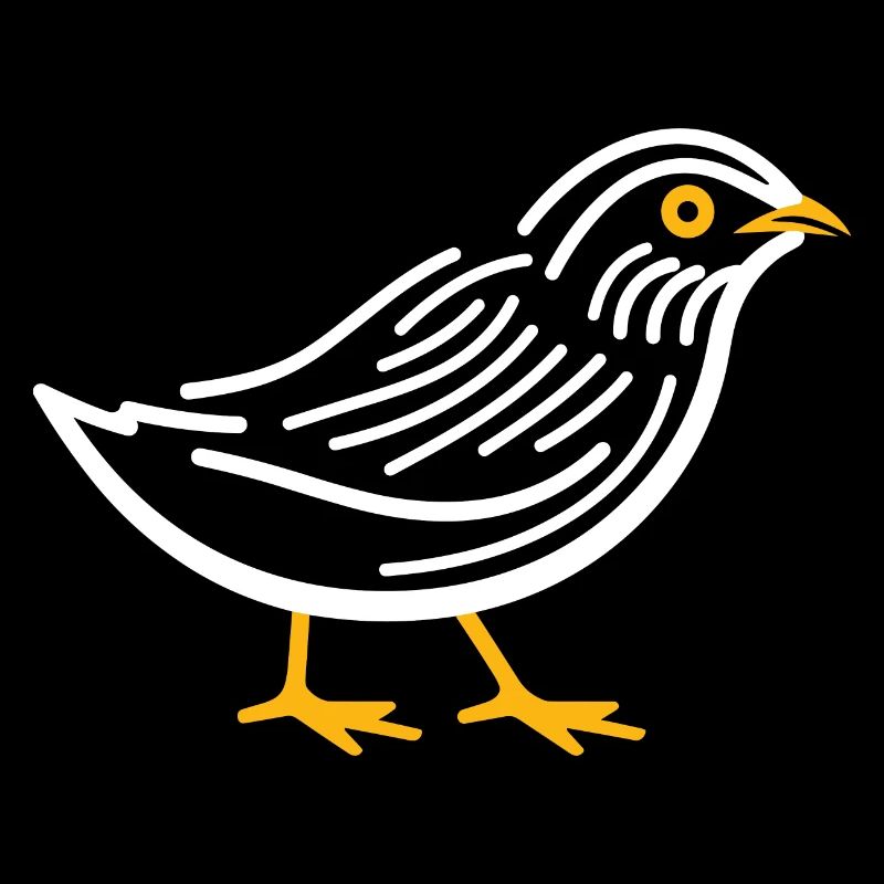 cailles petit oiseau caille
