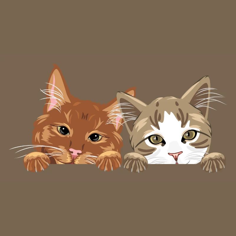 Jeter un coup d’œil mignon deux chats
