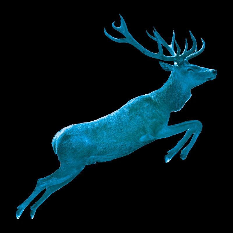 Deer Jumping blue