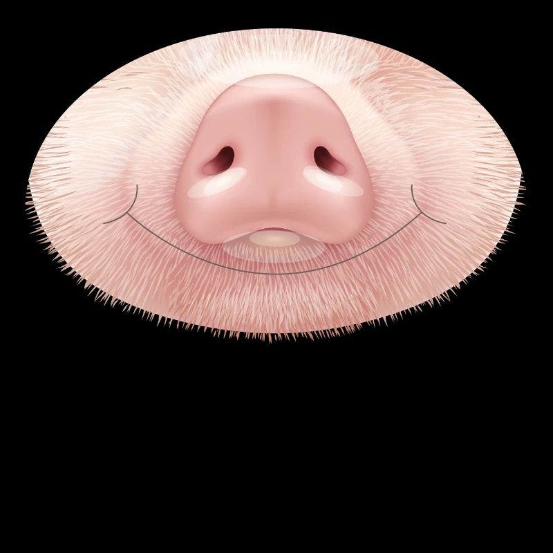 Drôle cochon nez bouche mignon cochon