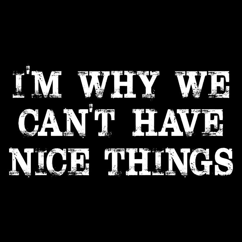 I'm Why We Can't Have Nice Things Funny Sarcastic