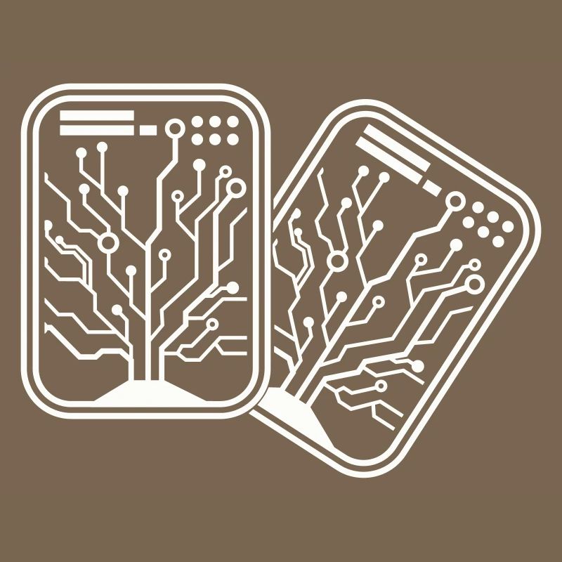 Micro Chip 2
