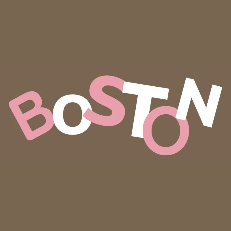 Cool Boston Pullover Sweat à capuche