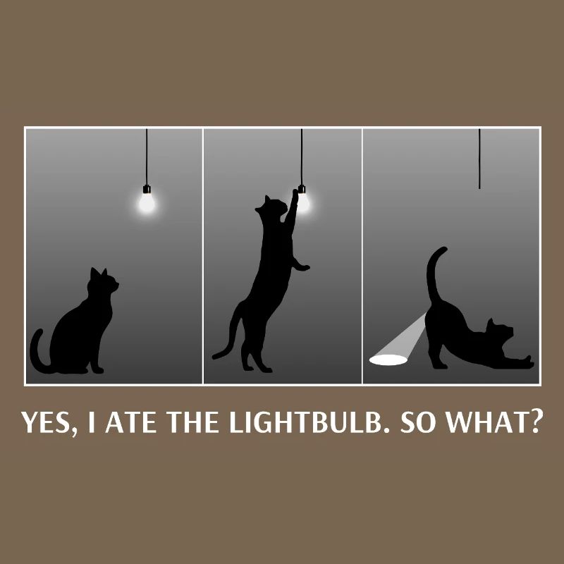 Funny Cat Ate Lightbulb So What Sassy Glow Butt